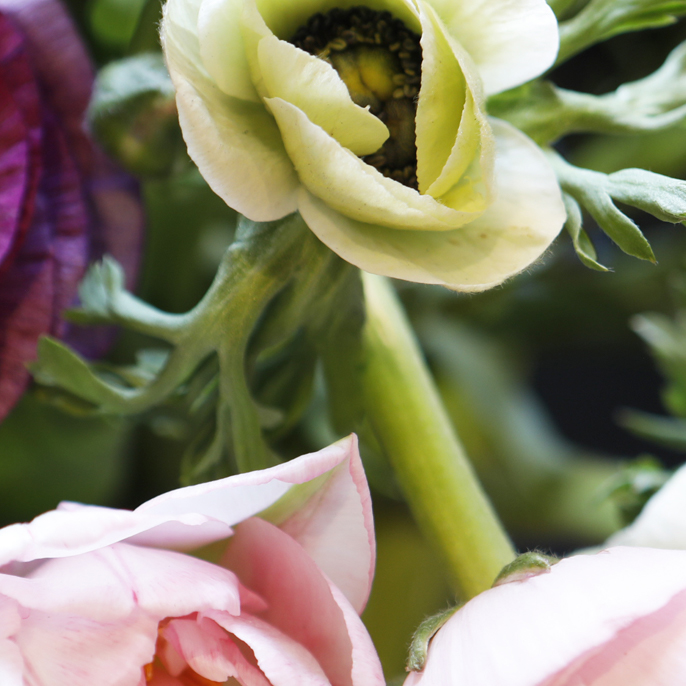 kvadrat blomm3